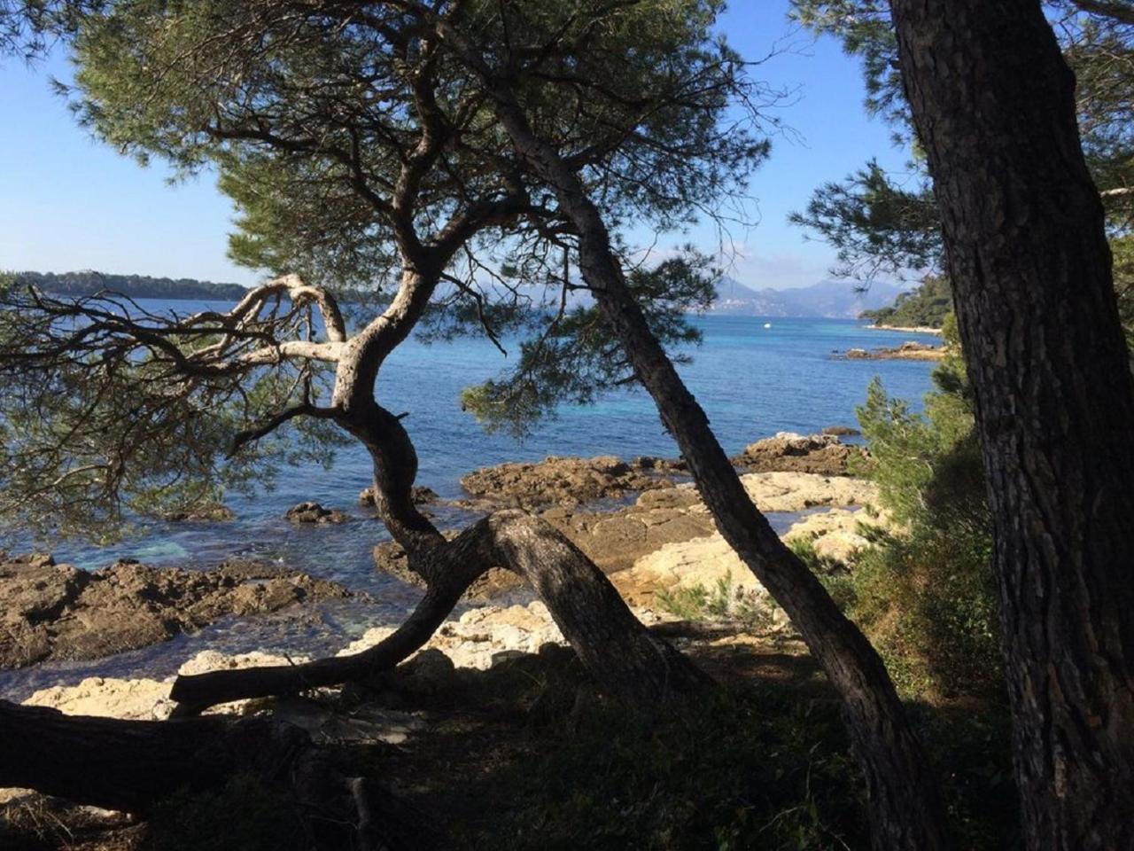 Cannes design vue mer Extérieur photo